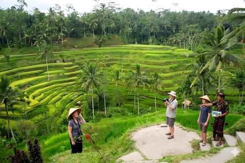 Ubud Half-Day Highlights Tour with Flexible Midday Pickup