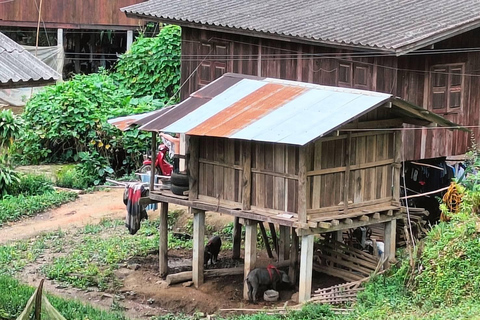 Chiang Mai : Chute d&#039;eau de Mae Ya et randonnée sur le sentier Pha Dok SiewVisite privée avec prise en charge à l&#039;hôtel