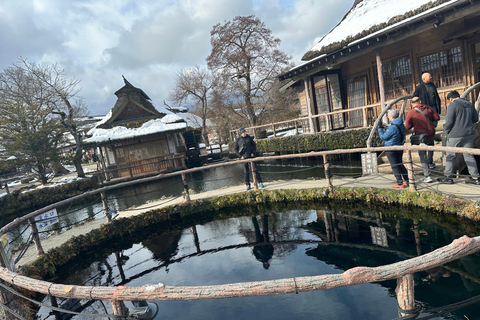 Mt Fuji Sightseeing Private tour with English Speaking Guide