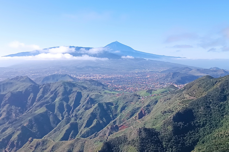 Puerto de la Cruz: Foresta di Avatar -Taganana-Teresitas+coda