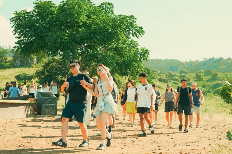 From Senggigi: 4-Day Whale Shark & Komodo Adventure