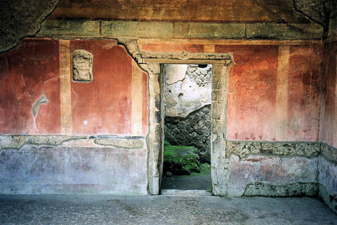 Pompeii ruins &amp; Vesuvius winery from Sorrento or Positano