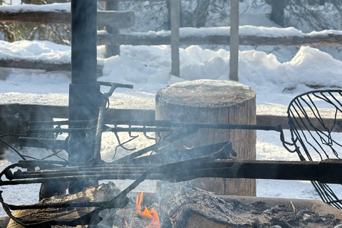 Rovaniemi: Canyon Winter Hike with Frozen Water Falls