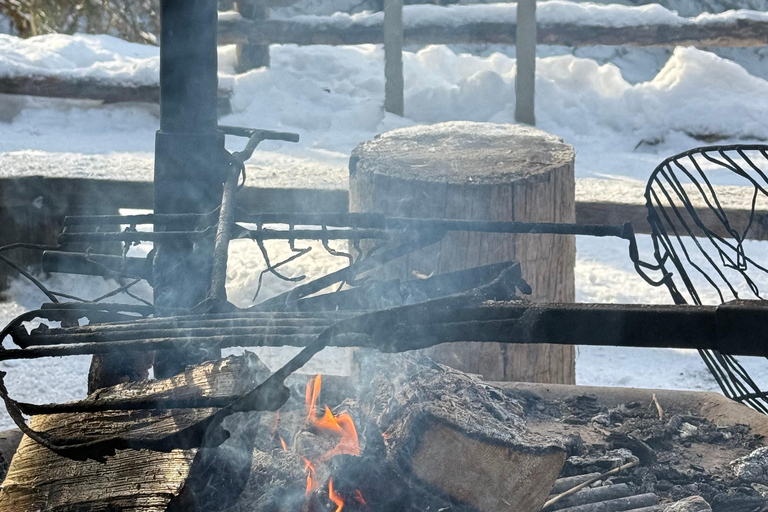 Rovaniemi: Canyon Winter Hike with Frozen Water Falls