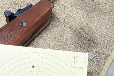 LIME: AIR CARBINE SHOOTING PRACTICE + THEORETICAL INSTRUCTION