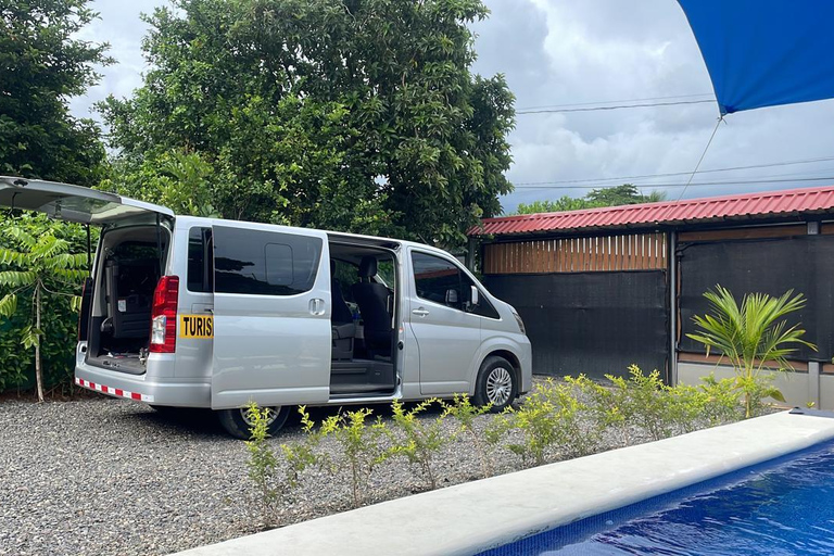 Transporte desde Tortuguero &quot;La Pavona&quot; a San Jose