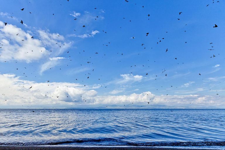 Prywatna wycieczka do Tsaghkadzor, jeziora Sevan, Sevanavank