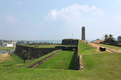 Madu River Safari, Galle Fort, & Tea Factory Tour