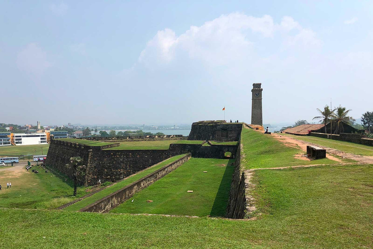 Madu River Safari, Galle Fort, & Tea Factory Tour
