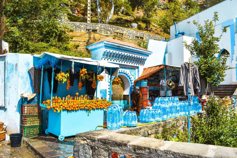 From Tangier: Chefchaouen "Blue Pearl" Guided Day Trip