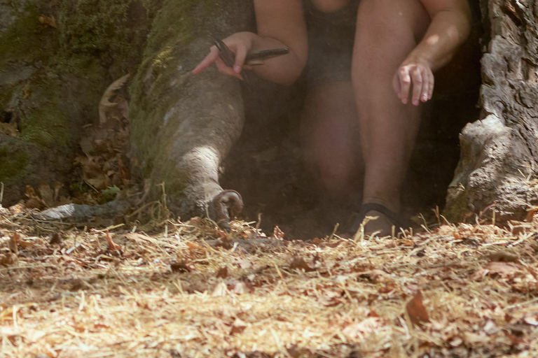 Private 4-5-Hour Tour and explore the hidden Gems of Rhodes Private 4-Hour Tour and explore the hidden Gems of Rhodes