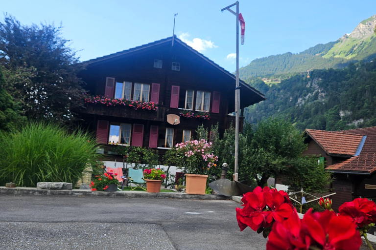 Zurigo:Interlaken Grindelwald,Lauterbrunnen (opzione privata)