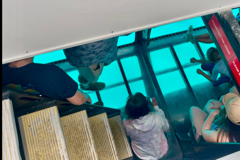 Oahu: Sunset Sail Cruise in Waikiki