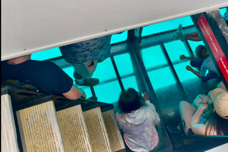 Oahu: Sunset Sail Cruise in Waikiki