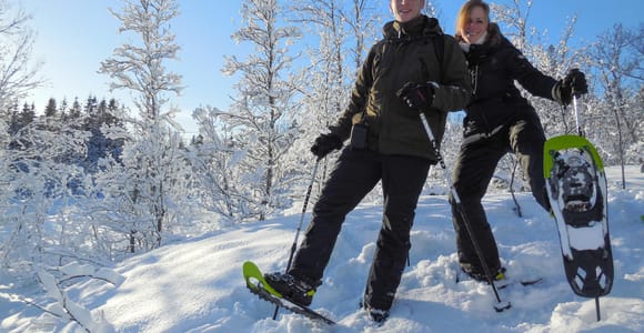 Tromsø: Guided snowshoe trip on Tromsøya