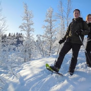 Tromsø: Guided snowshoe trip on Tromsøya
