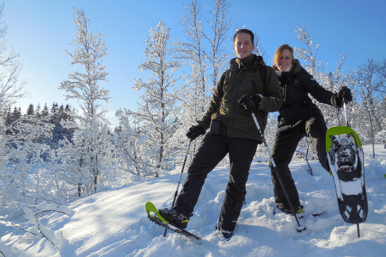 Tromsø: Guided snowshoe trip on Tromsøya