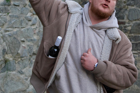 From Budapest: Vienna and Bratislava Day Trip with a Guide Three Capitals in One Day: Budapest – Vienna – Bratislava