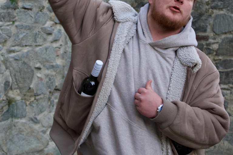 From Budapest: Vienna and Bratislava Day Trip with a Guide Three Capitals in One Day: Budapest – Vienna – Bratislava