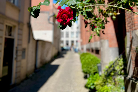 Bruges History Taxi - drive & walk tour (Choose pick up)