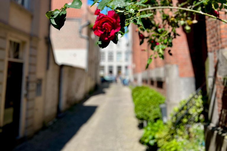 Bruges History Taxi - drive & walk tour (Choose pick up)