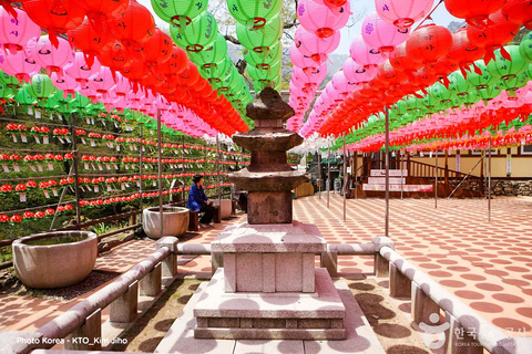 Seúl: Excursión de un día por la floración de los cerezos de primavera en CoreaGwangyangMaehwa y Jeonju desde la salida 8 de la calle Hongdae