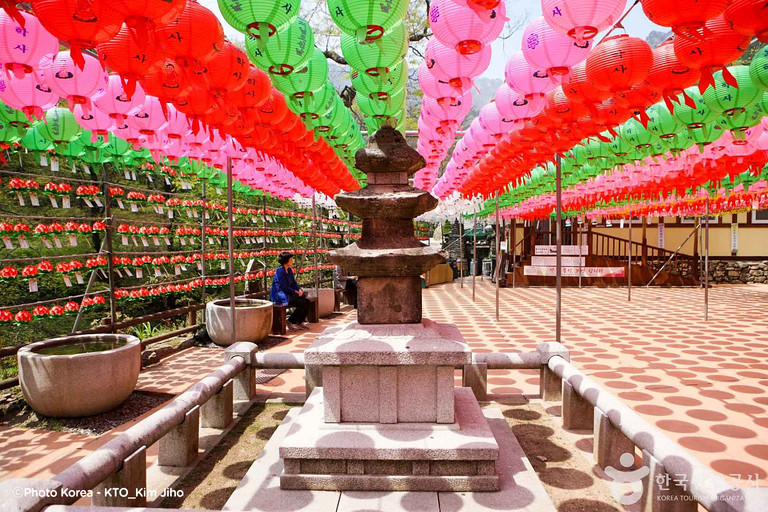 Seúl: Excursión de un día por la floración de los cerezos de primavera en CoreaGwangyangMaehwa y Jeonju desde la salida 8 de la calle Hongdae