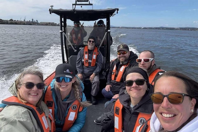 Quebec City: Guided Zodiac Tour Under the Iconic Bridges