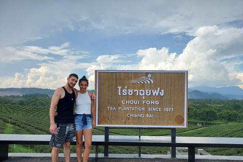 Chiang Rai: Top Temples & Signature Attractions ~Free Buffet