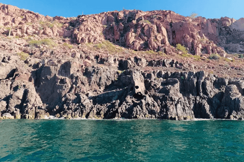 La Paz: Boat ride to Espiritu Santo island and sloop