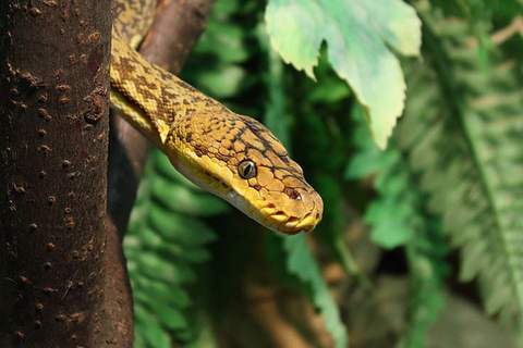 From Iguazú: Excursion to the Iguazú Biocenter