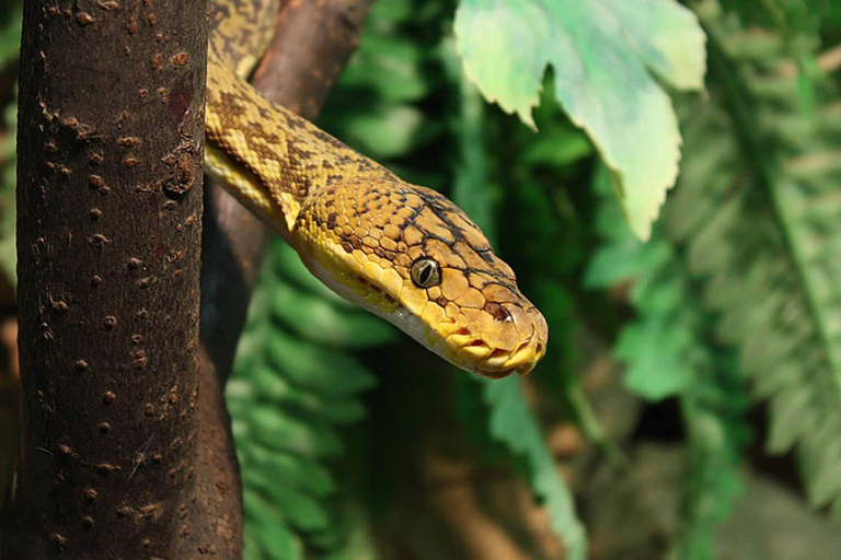 From Iguazú: Excursion to the Iguazú Biocenter