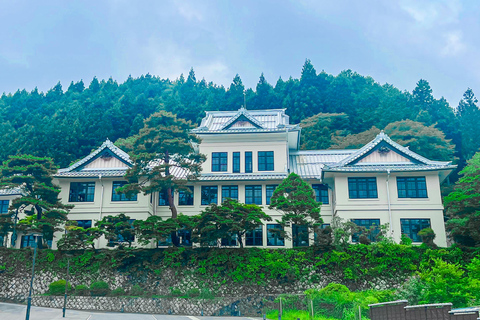 Nikko: Dagtour vanuit Tokio in het Engels - EnglishNikko: Groepsreis