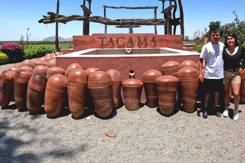 Experiencia de vino, pisco y buggy