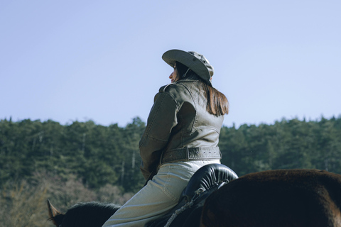 Ronda: Andalusian Countryside Horseback Riding Tour