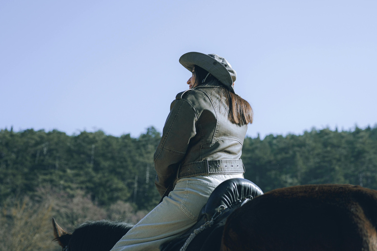 Ronda: Andalusian Countryside Horseback Riding Tour