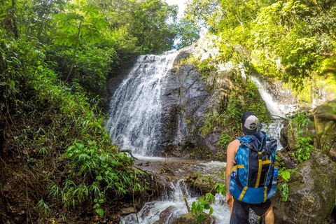Stadt Cabañas: Wald von Cinquera – Wasserfälle und historisches Zentrum von IlobascoStadt Cabañas: Wald von Cinquera-Wasserfälle und historisches Zentrum Ilobasco
