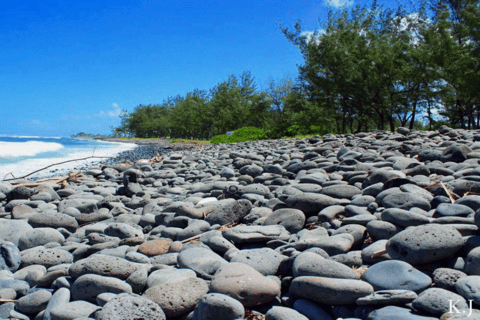 Mauritius: Södra Mauritius privat tur med sköldpaddor