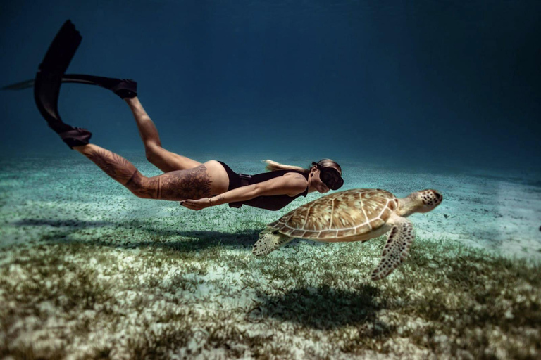 Private Turtle Snorkel Tour in Aruba + Professional video