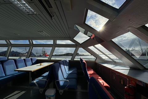 From Svolvær: Lofoten Trollfjord Cruise & Sea Eagle Safari Lofoten: Trollfjord Cruise with Sea Eagle Safari