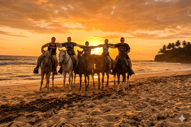 Punta Cana: Sunset Horseback Ride on Uvero Alto Beach