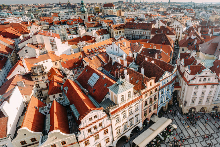 Wrocław: Old Town Private Walking Tour with Viewpoint Entry Wrocław: Old Town Private Walking Tour with Viewpoint Entry
