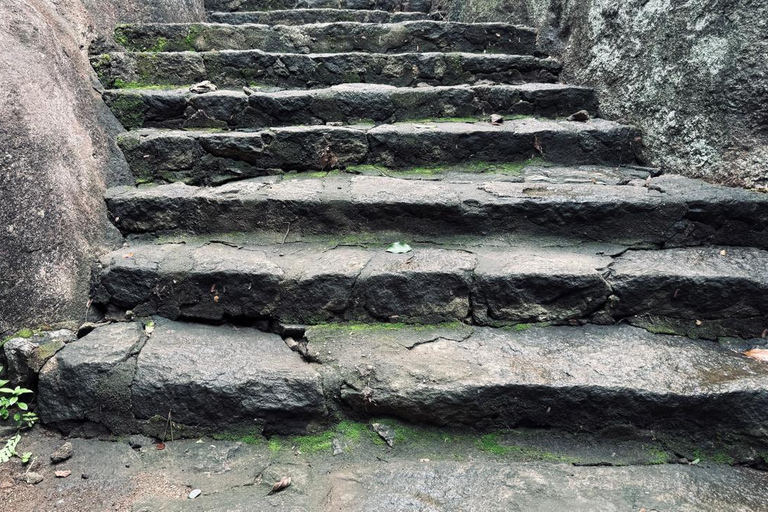 From Colombo: Gampaha District Temples & Jungle Hike Tour