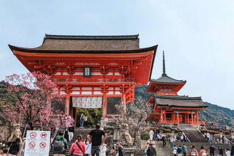 Tokyo: Kyoto & Nara Private Tour with Hotel Pickup