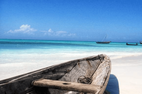 Choses à faire : Pique-nique sur le banc de sable de Nakupenda avec plongée en apnée