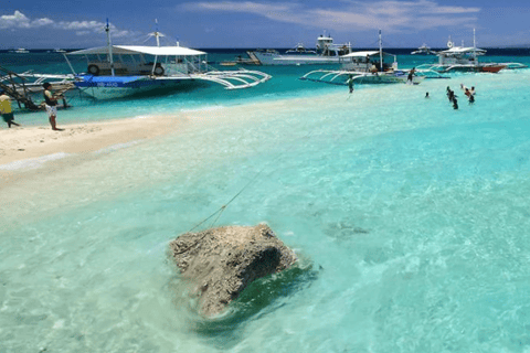 Cebu: Sumilon Isand Walvishaai en schildpad Snorkeltour