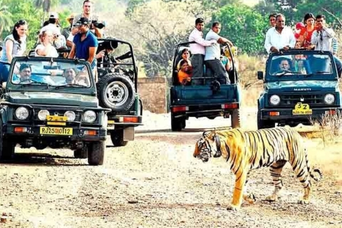 Vanuit Jaipur: Rondleiding door Ranthambore met taxiTour met privéauto en chauffeur