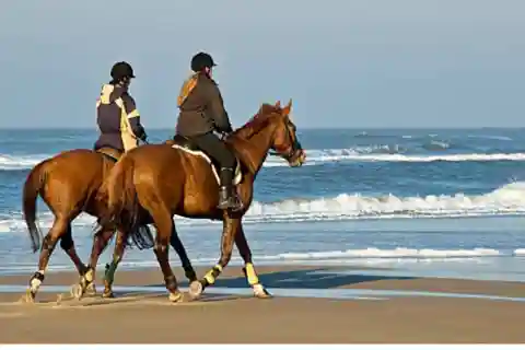DOHA-QATAR: Reiten auf einem arabischen Pferd an der wunderschönen Küste