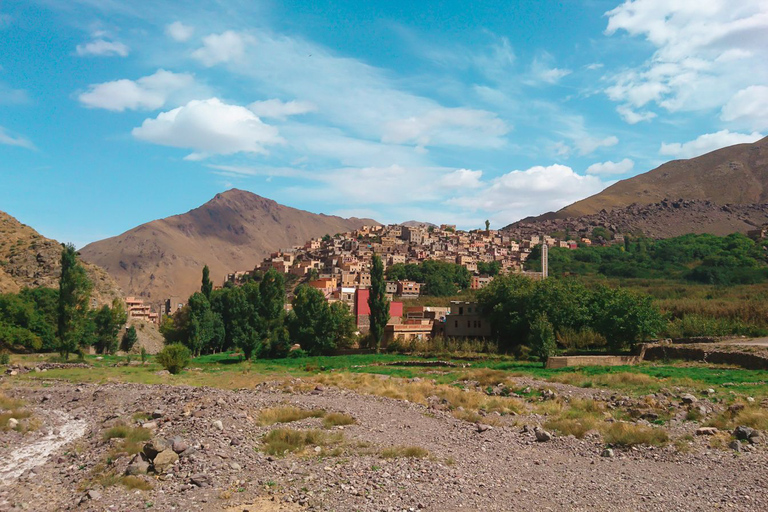 Från Marrakesh: Heldagstur till Atlasbergen med vandring