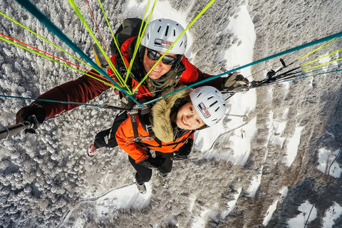 Interlaken: Vuelo en parapente biplazaInterlaken: vuelo tándem en parapente